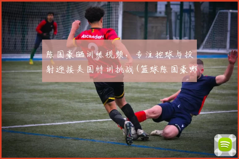 陈国豪晒训练视频，专注控球与投射迎接美国特训挑战(篮球陈国豪哪里人)