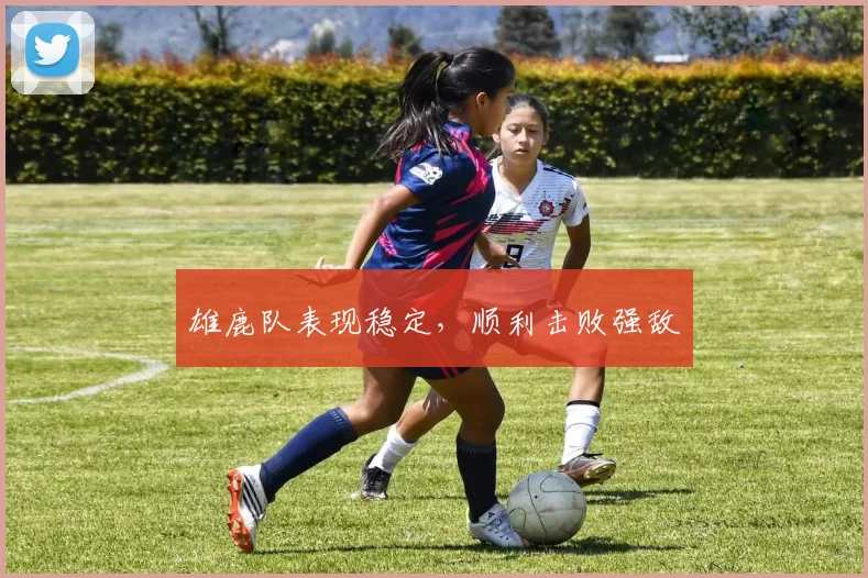 雄鹿队表现稳定，顺利击败强敌